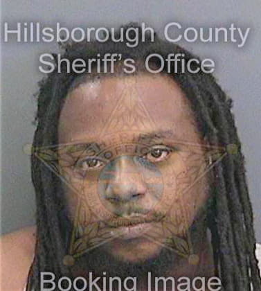 Hanson Anthony - Hillsborough County, FL 