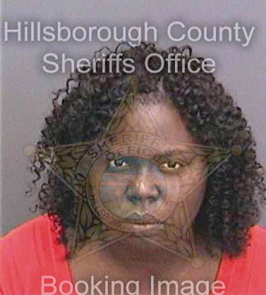 Brimmer Devorah - Hillsborough County, FL 