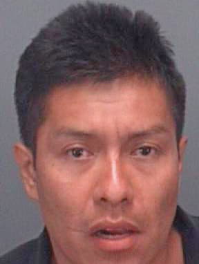 Orrillo Edgar - Pinellas County, FL 