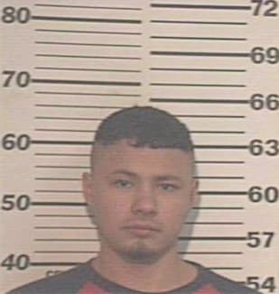 Hernandez Eduardo - Hidalgo County, TX 