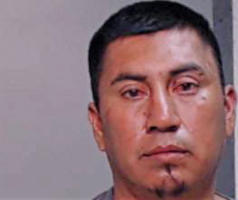 Ramirez Homero - Hidalgo County, TX 