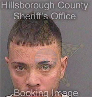 Acevedorosario Julio - Hillsborough County, FL 