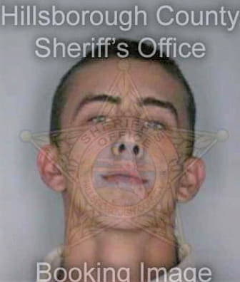 Gholson Alan - Hillsborough County, FL 