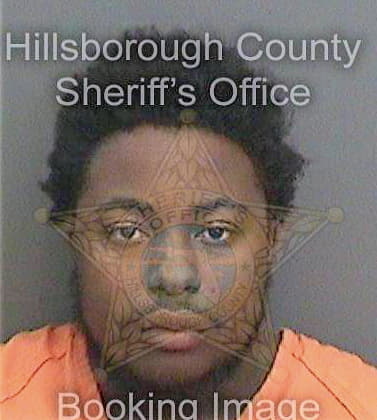 Womble Alfred - Hillsborough County, FL 