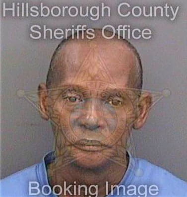 Snyder Eric - Hillsborough County, FL 