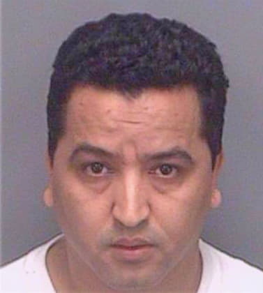 Birouz Jalal - Pinellas County, FL 