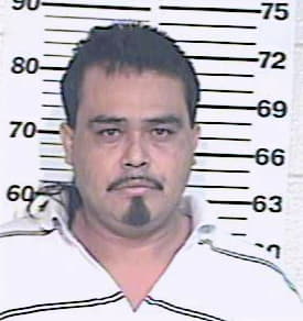 Garza Manuel - Hidalgo County, TX 