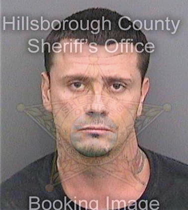 Hefner Albert - Hillsborough County, FL 