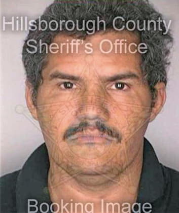 Montgomery Arthur - Hillsborough County, FL 
