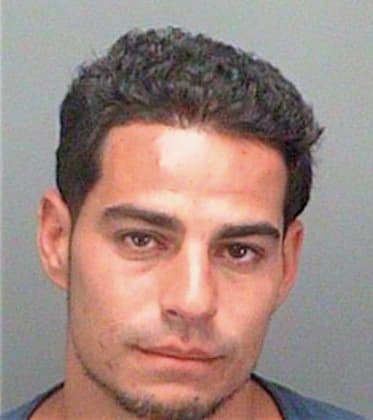 Constantinou Costas - Pinellas County, FL 