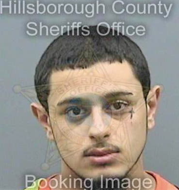 Vega Jonathan - Hillsborough County, FL 