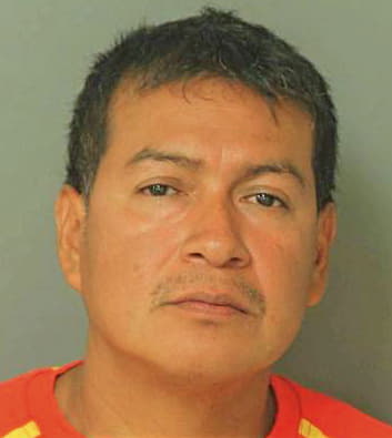 Patricio-Patrici Jose - Wake County, NC 