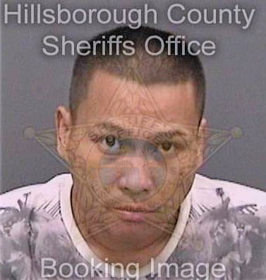 Nguyen Toan - Hillsborough County, FL 
