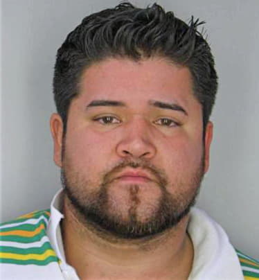 Pineda Wladimir - Hillsborough County, FL 