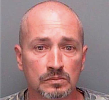 Omadigan Dennis - Pinellas County, FL 