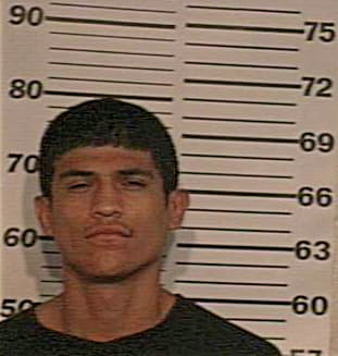 Chapa Hector - Hidalgo County, TX 