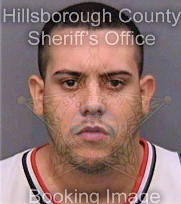 Caninocruz Juan - Hillsborough County, FL 