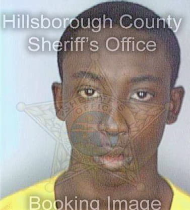 Oslin Kervince - Hillsborough County, FL 
