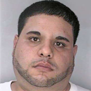 Avensos Domenico - Hillsborough County, FL 