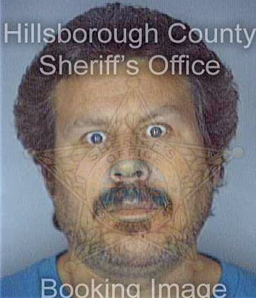 Strysh Steve - Hillsborough County, FL 