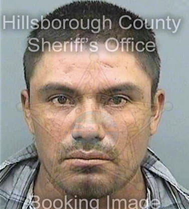 Gonsalez Bernabe - Hillsborough County, FL 