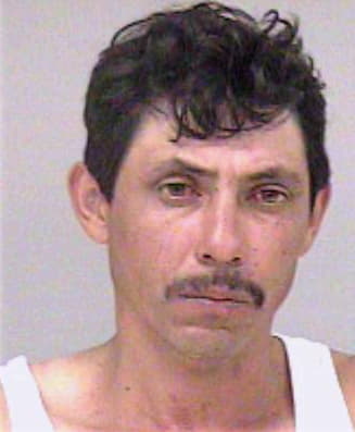 Ibarra Fernando - Madera County, CA 