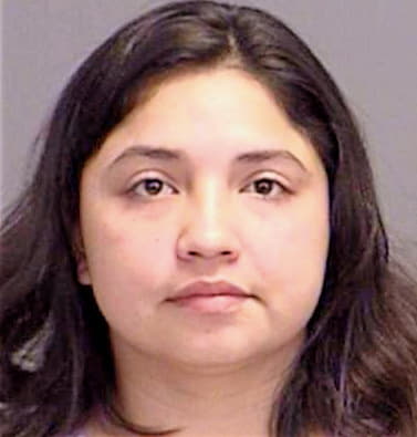 Hinojosa Valorie - Brazos County, TX 