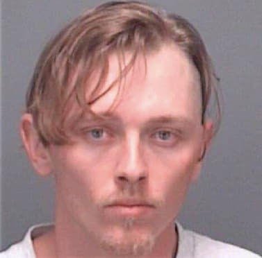 Roberts William - Pinellas County, FL 