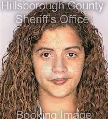 Lorenzo Brenda - Hillsborough County, FL 