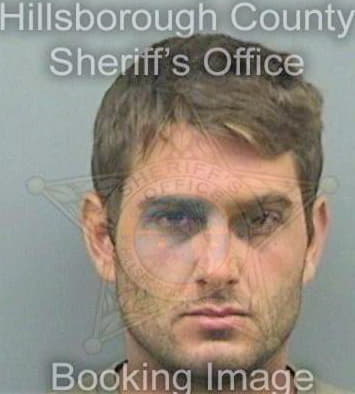 Heiber David - Hillsborough County, FL 