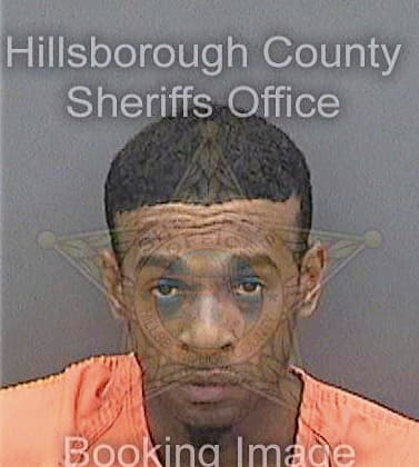 Richardson Demetrius - Hillsborough County, FL 