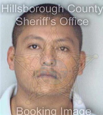 Saucedajaramillo Juan - Hillsborough County, FL 