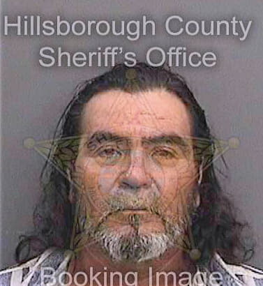 Serna Ricardo - Hillsborough County, FL 