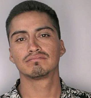 Mendoza Sergio - Hillsborough County, FL 
