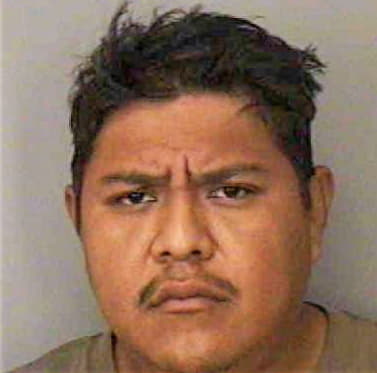 Fernandez Castulo - Polk County, FL 
