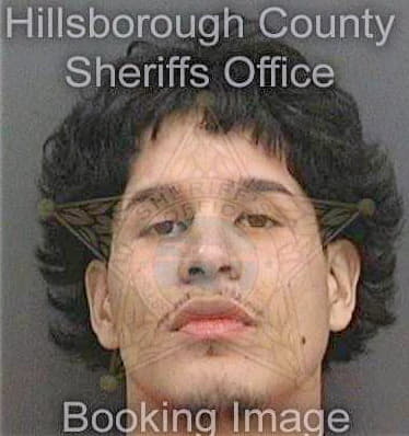 Celis Christopher - Hillsborough County, FL 