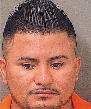 Marquezjoya Jose - PalmBeach County, FL 