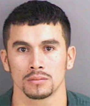 Flores Rogelio - Collier County, FL 