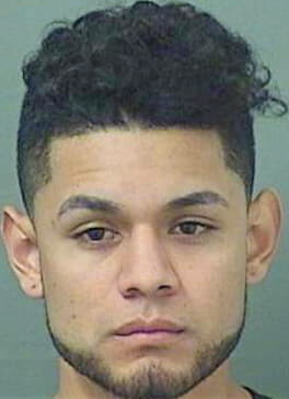Resendizbadillo Fernando - PalmBeach County, FL 