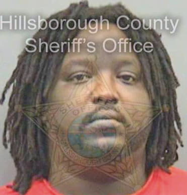 Johnson Marvelous - Hillsborough County, FL 