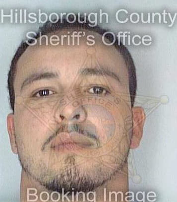 Rodriguez David - Hillsborough County, FL 
