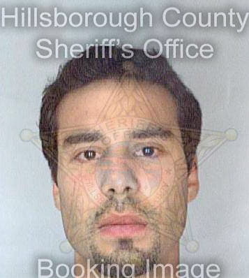 Sanchez Edgar - Hillsborough County, FL 