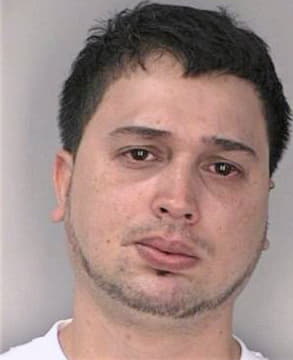 Chamorro Enrique - Hillsborough County, FL 