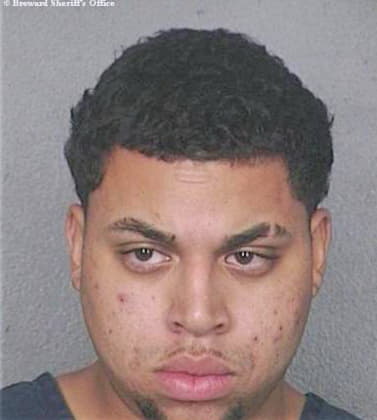 Bermudez Francisco - Broward County, FL 