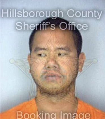 Do Huy - Hillsborough County, FL 