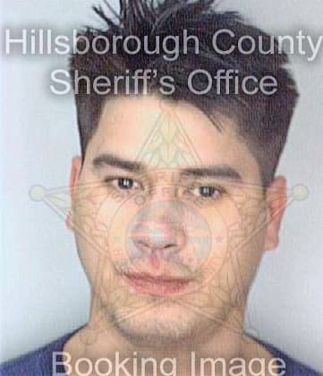 Perez Jose - Hillsborough County, FL 