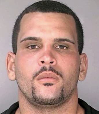 Pena Luis - Hillsborough County, FL 