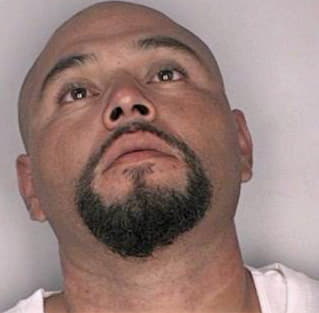 Hernandez Roy - Hillsborough County, FL 