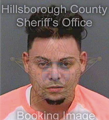 Hermina Ariel - Hillsborough County, FL 