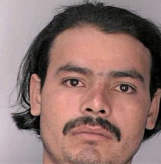 Maldonadohernandez Jose - Hillsborough County, FL 